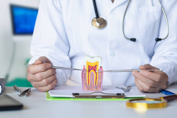 Best Emergency Dental Care for Broken or Chipped Teeth in Blacksburg, VA